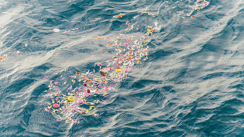 ペット散骨（海洋）